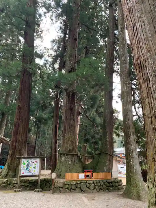 室生龍穴神社の自然