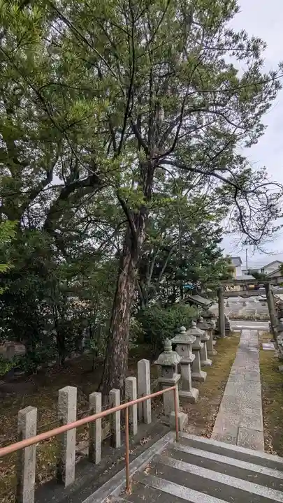 大藤神社(京都府)