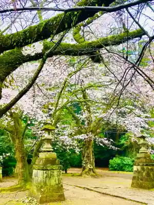 日先神社の自然