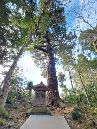 日吉神社(千葉県)