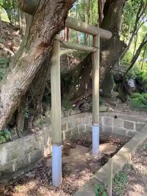 常陸國總社宮(茨城県)