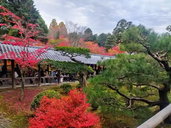 東福禅寺(東福寺)(京都府)