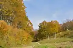 八海神社(新潟県)