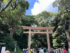 明治神宮(東京都)