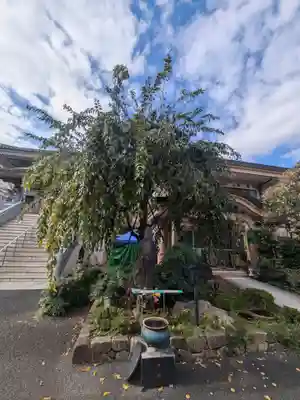 眞性寺(東京都)