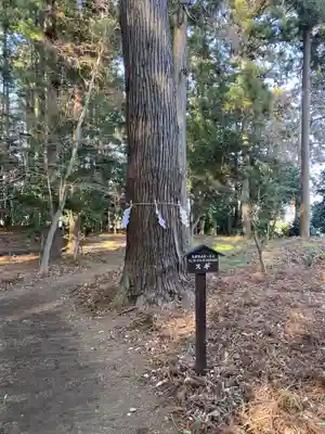 長沼八幡宮(栃木県)