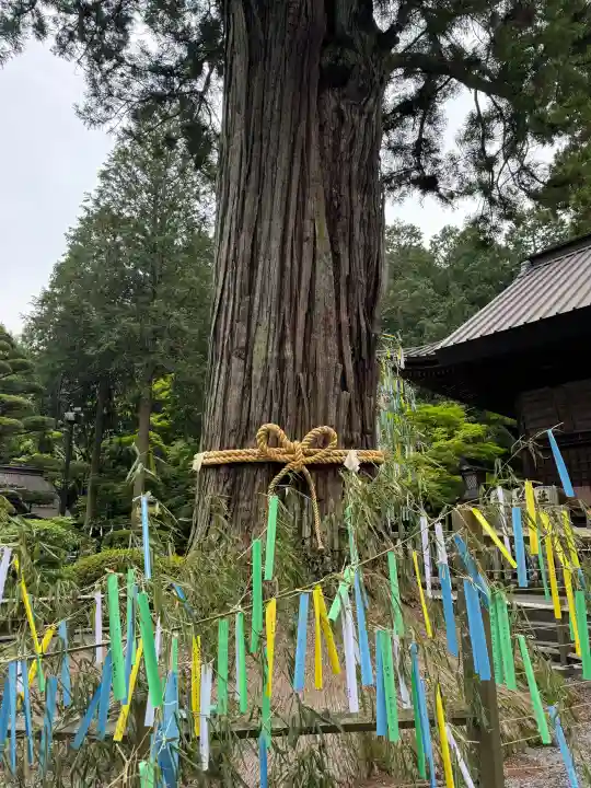 北口本宮冨士浅間神社(山梨県)