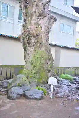 楊原神社(静岡県)