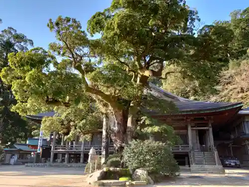 青岸渡寺の庭園