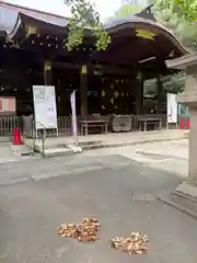 渋谷氷川神社(東京都)