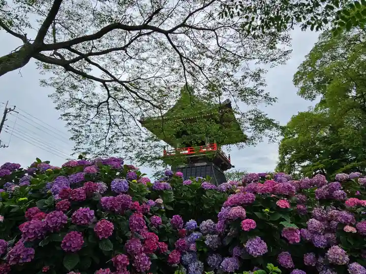 能護寺(埼玉県)