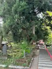 御座石神社(秋田県)