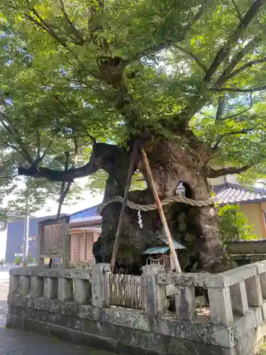 中山神社(岡山県)