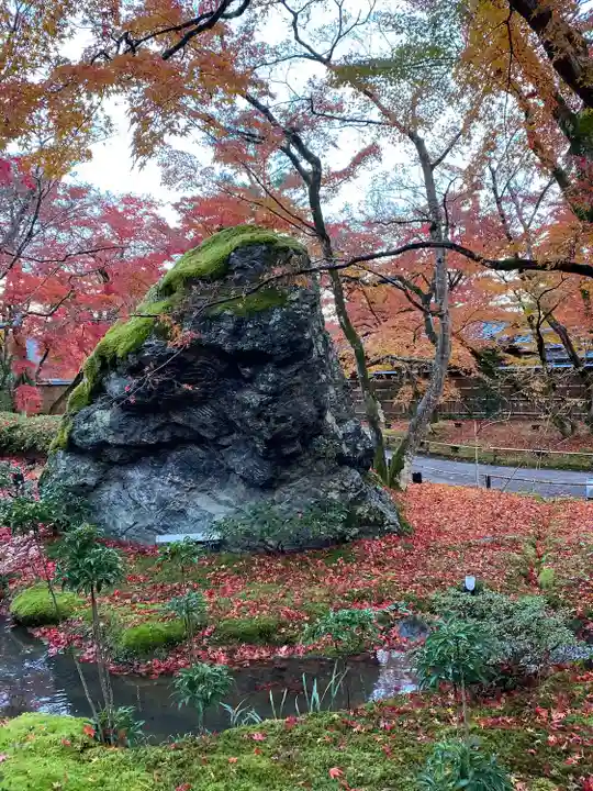 宝厳院(京都府)