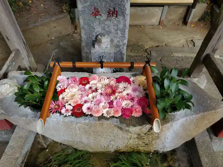 田間神社(千葉県)