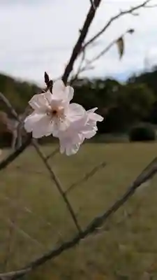 勧修寺(京都府)