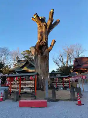 上野総社神社(群馬県)