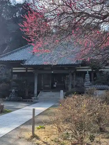 了仙寺(静岡県)