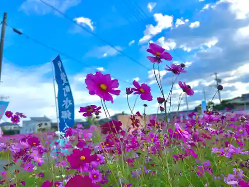 夜夫多神社(三重県)
