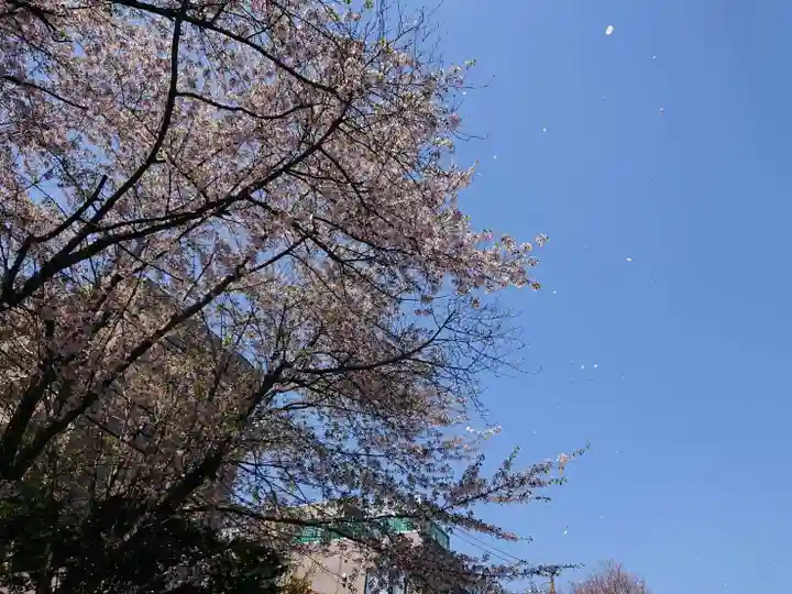 豊平神社(北海道)