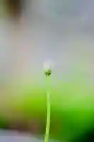 浄土寺(兵庫県)