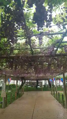 曼陀羅寺の庭園