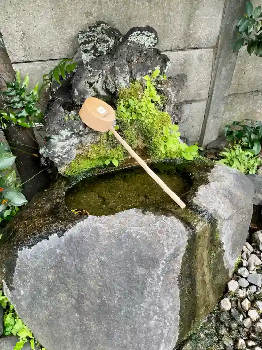 成増氷川神社の{uncategorized: "未分類", other: "その他", undefined: "問題あり", building: "その他建物", grave: "お墓", sacred_gate: "鳥居", guardian: "狛犬", statue: "像", buddha: "仏像", history: "歴史", nature: "自然", garden: "庭園", animal: "動物", pagoda: "塔", temizu: "手水舎", mountain_gate: "山門・神門", sanctuary: "本殿・本堂", subordinate: "末社・摂社", art: "芸術", scenery: "景色", jizo: "地蔵", ema: "絵馬", goshuin: "御朱印", omikuji: "おみくじ", items: "授与品その他", amulet: "お守り", goshuincho: "御朱印帳", eats: "食事", festival: "お祭り", votive_dance: "神楽", shichigosan: "七五三参", wedding: "結婚式", experience: "体験その他", initially: "初詣", around: "周辺", anti_infection: "感染症対策"}