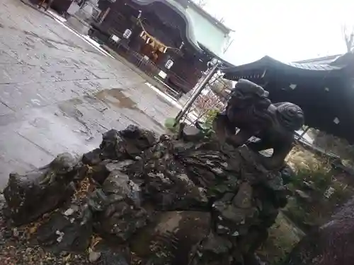 菊田神社の狛犬