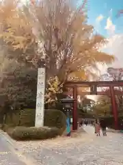 根津神社の鳥居