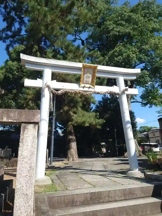 縣神社(京都府)
