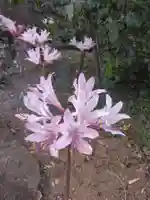 横浜 西方寺(神奈川県)