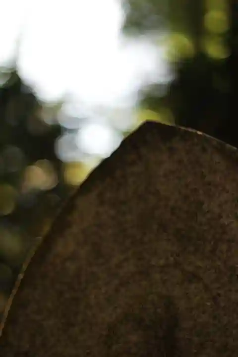 宝山寺(奈良県)