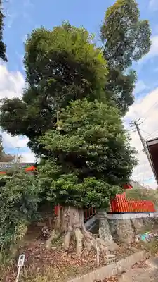 玉岡稲荷神社(京都府)