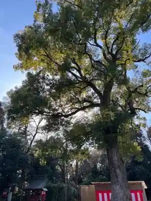 鷲宮神社のその他建物