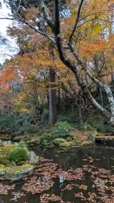 三千院門跡(京都府)