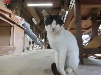 智恩寺(京都府)