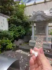 石切劔箭神社(大阪府)