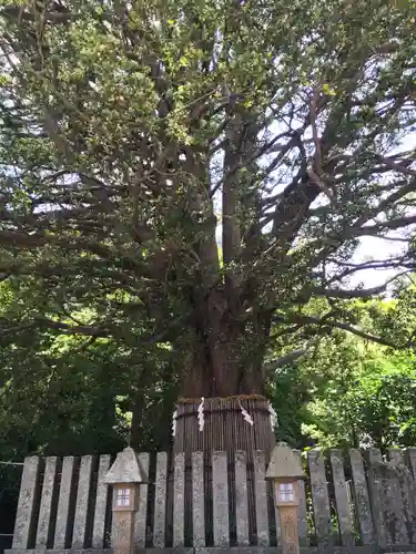 熊野速玉大社の自然