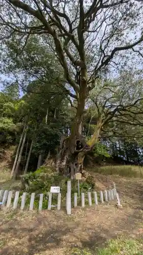一ノ宮神社(滋賀県)