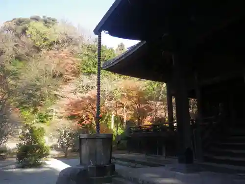 妙本寺の庭園