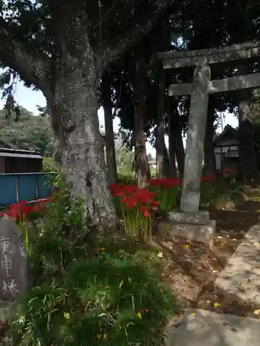 駒形神社の自然