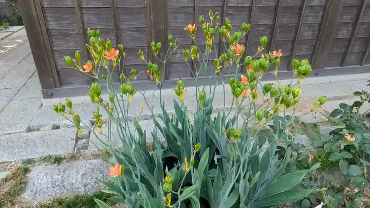 香雪院(京都府)