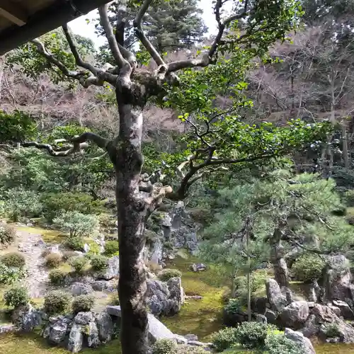 吸湖山　青岸寺の庭園