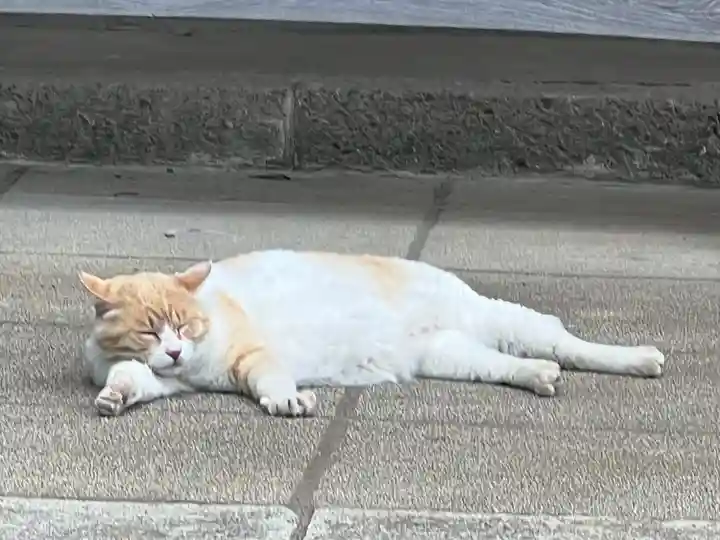 雀神社(茨城県)