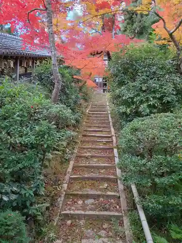 光明寺（粟生光明寺）(京都府)