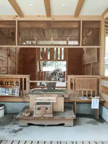 平塚八幡宮の動物