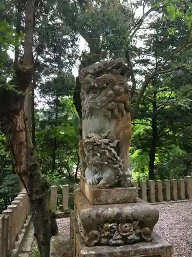 佐々牟志神社の狛犬