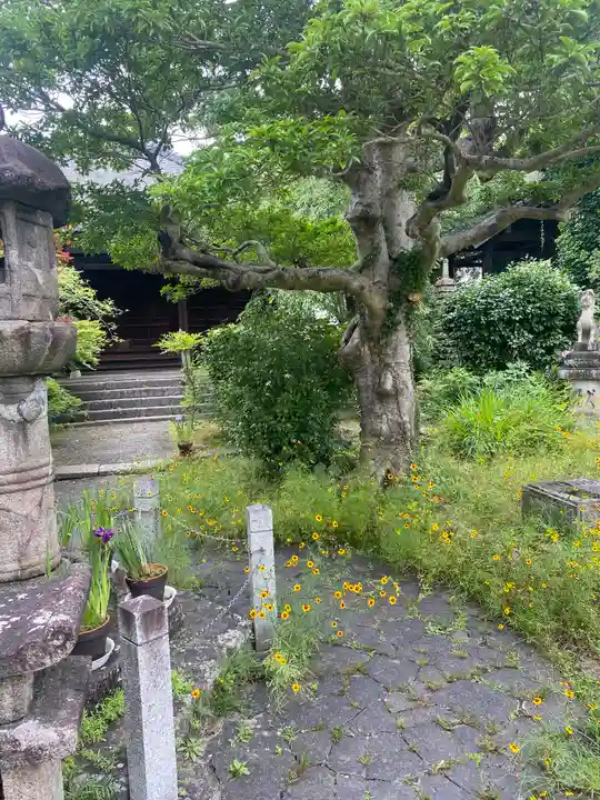 元興寺塔跡(奈良県)