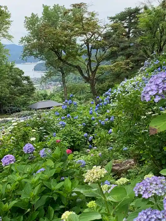 金剛院(京都府)