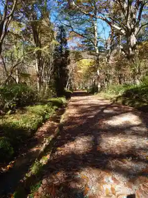 戸隠神社奥社(長野県)